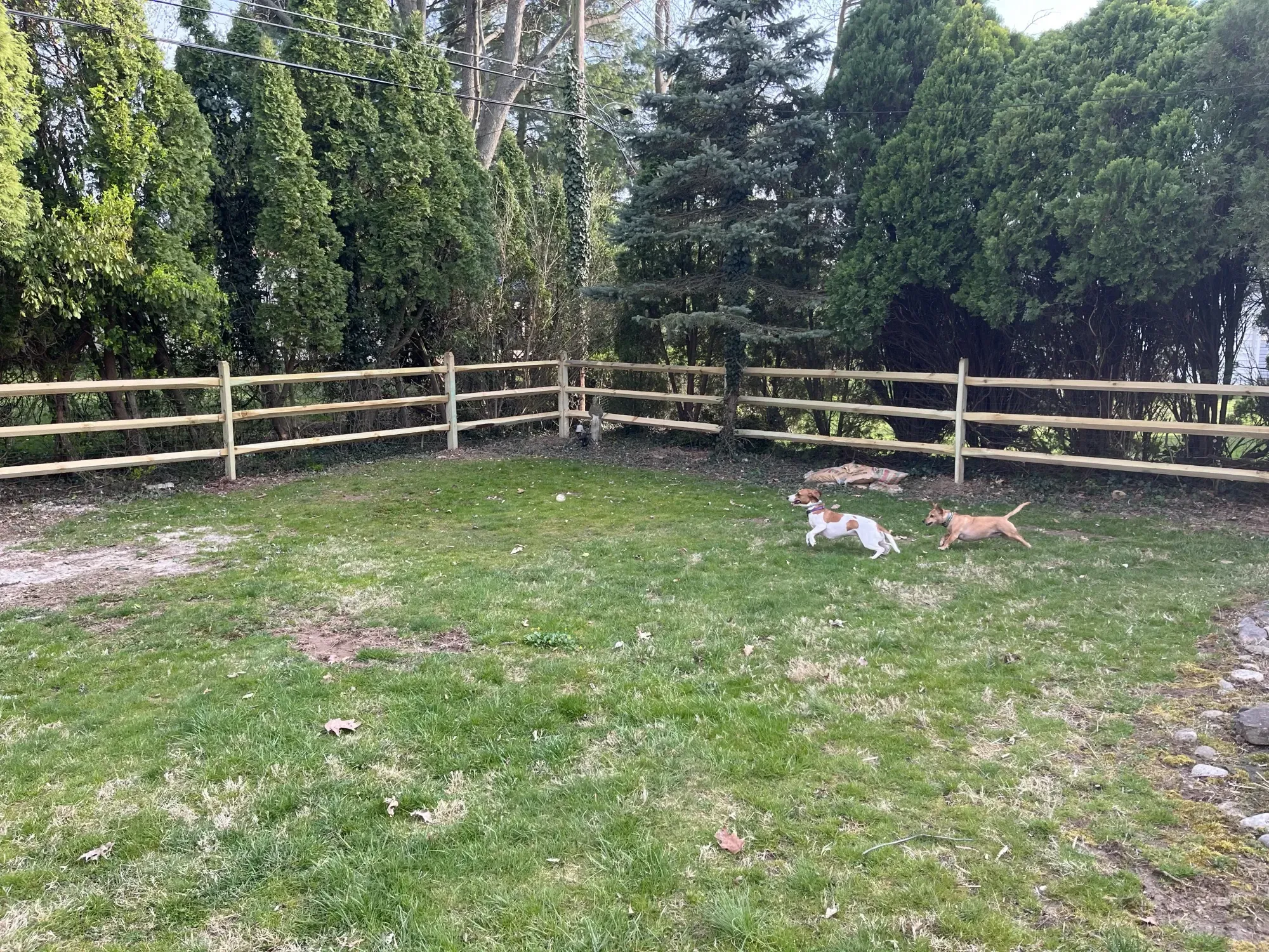 Split Rail Fence