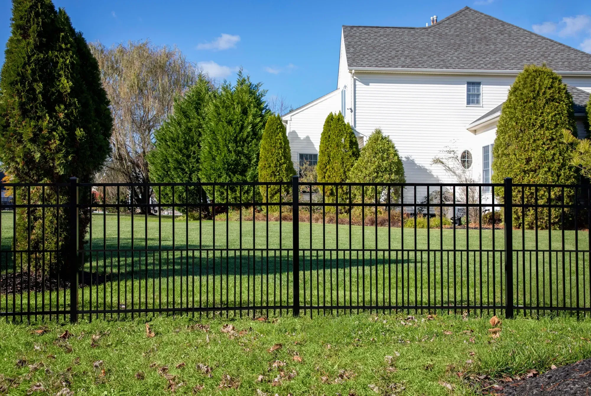 Pet Fence