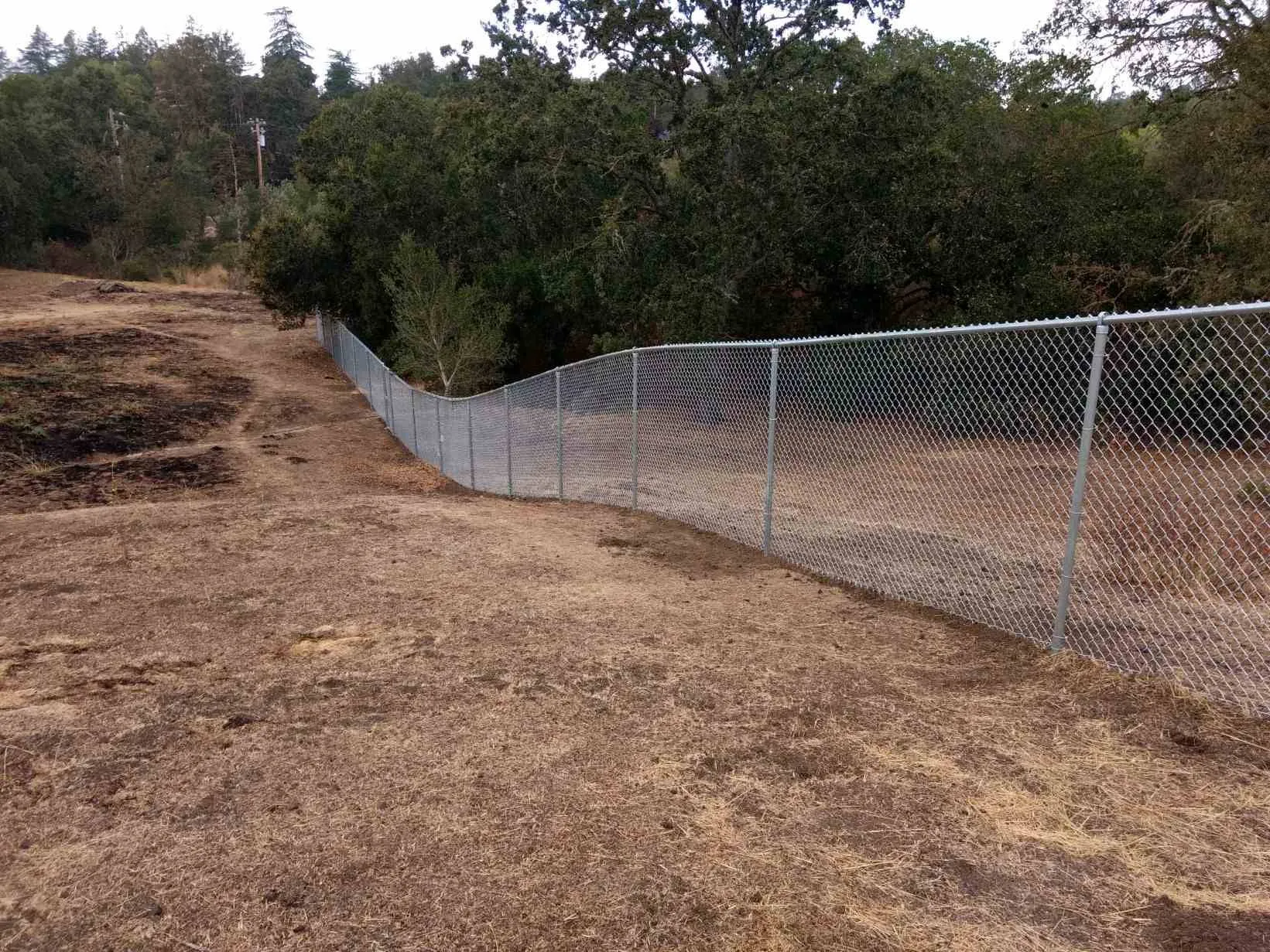 Chain link metal fence