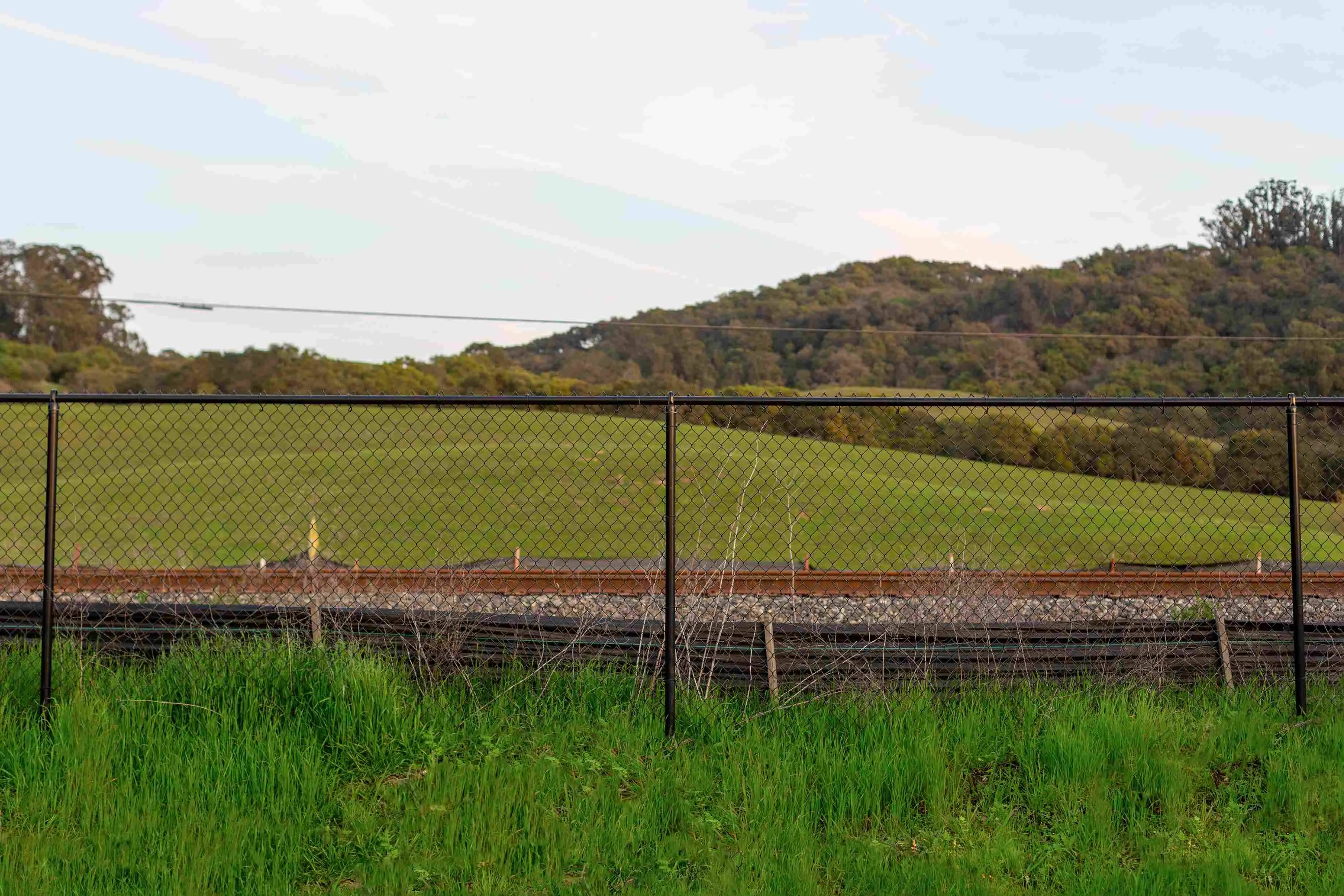 Vinyl covered chain link fence