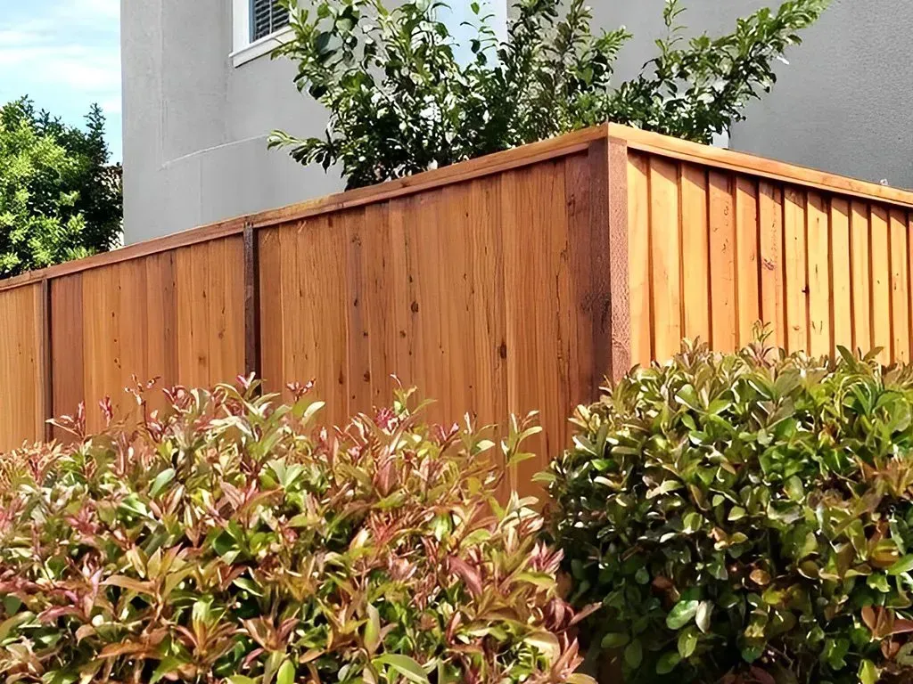 Staining