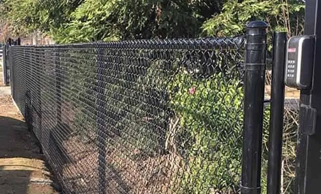 Black vinyl-coated chain link fence