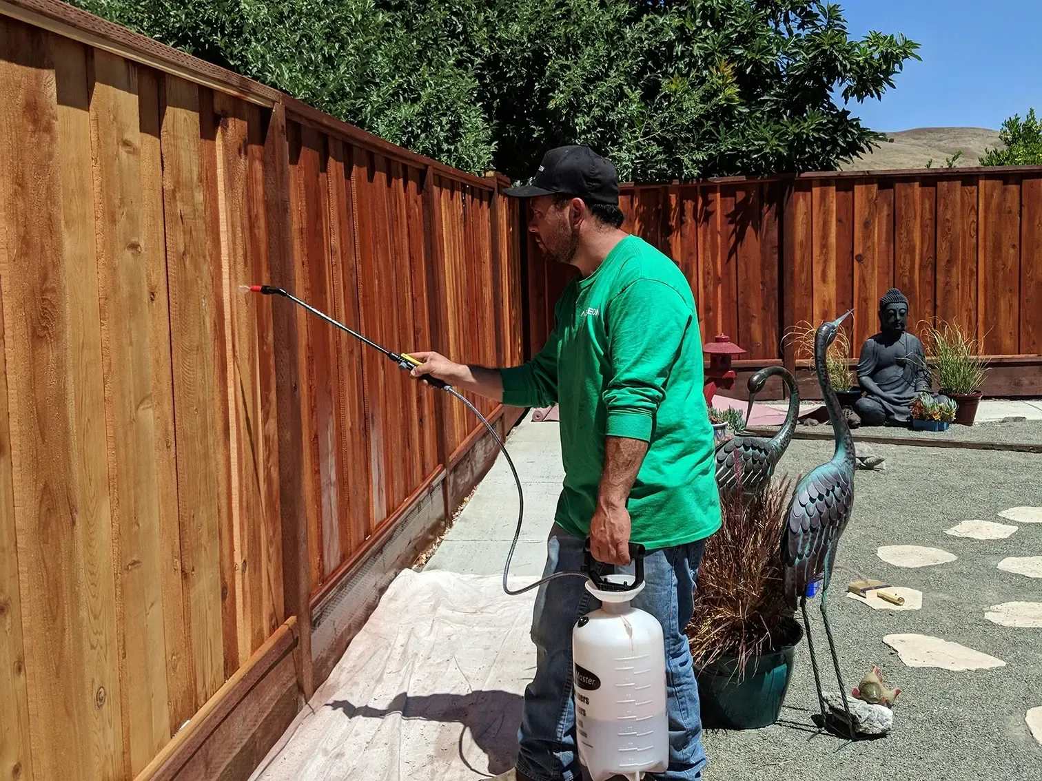 Fence staining and painting