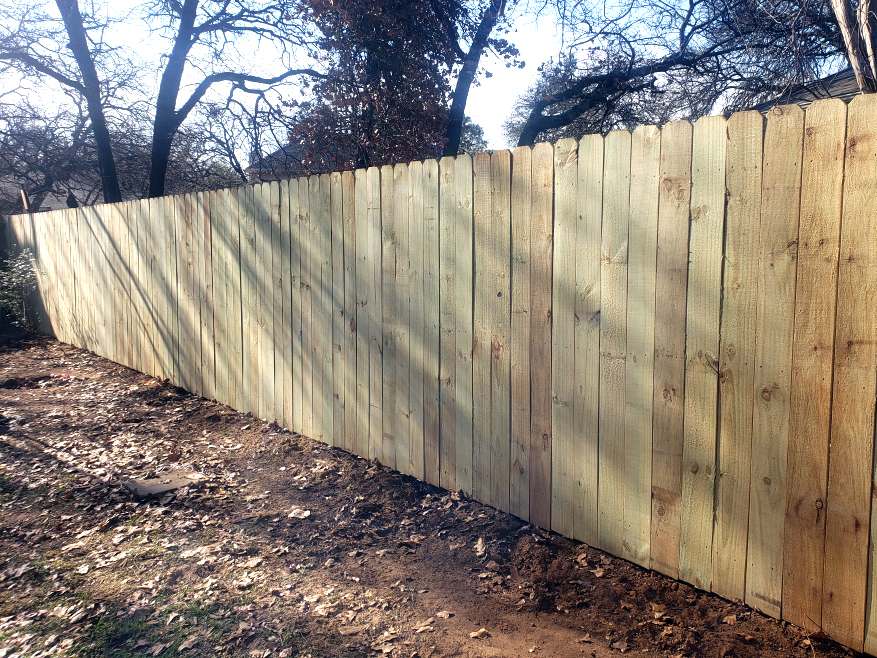 Pressure-treated pine fence