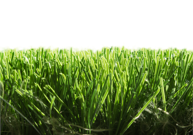 Choose of our artificial grass packages